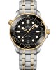 Seamaster · 42mm · 210.20.42.20.01.002