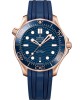 Seamaster · 42mm · 210.62.42.20.03.001